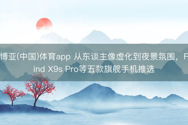 博亚(中国)体育app 从东谈主像虚化到夜景氛围，Find X9s Pro等五款旗舰手机推选