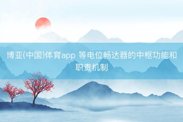 博亚(中国)体育app 等电位畅达器的中枢功能和职责机制