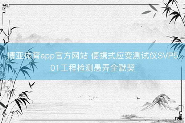博亚体育app官方网站 便携式应变测试仪SVP501工程检测愚弄全默契