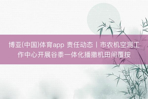 博亚(中国)体育app 责任动态丨市农机空洞工作中心开展谷黍一体化播撒机田间覆按