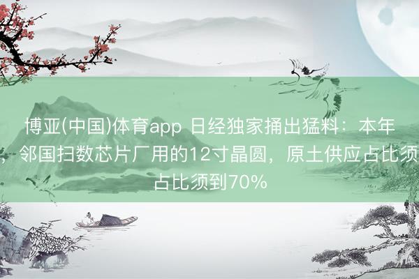 博亚(中国)体育app 日经独家捅出猛料：本年年底前，邻国扫数芯片厂用的12寸晶圆，原土供应占比须到70%