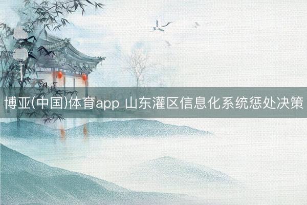 博亚(中国)体育app 山东灌区信息化系统惩处决策