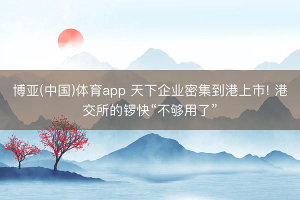 博亚(中国)体育app 天下企业密集到港上市! 港交所的锣快“不够用了”