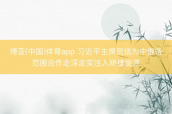 博亚(中国)体育app 习近平主席贺信为中俄各范围合作走深走实注入矫捷能源