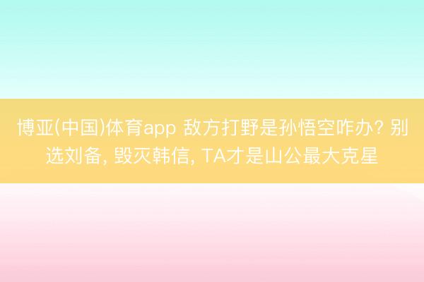 博亚(中国)体育app 敌方打野是孙悟空咋办? 别选刘备， 毁灭韩信， TA才是山公最大克星