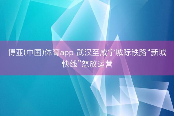 博亚(中国)体育app 武汉至咸宁城际铁路“新城快线”怒放运营